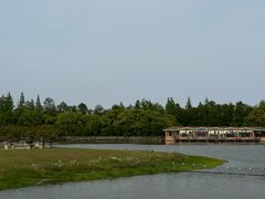 -上海海湾国家森林公园