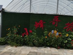 -庞各庄翠芳园西瓜蔬菜基地采摘园