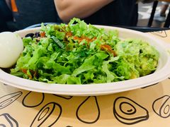-油梨树 AVOCADO TREE(亮马桥店)
