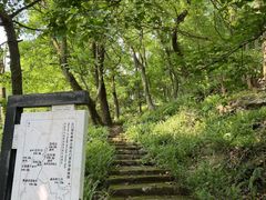 -广州市石门国家森林公园