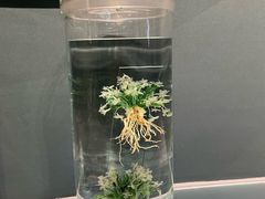 -中国湿地博物馆