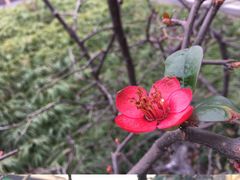 -南京市江宁方山