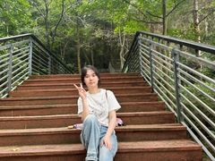 -莲花山公园