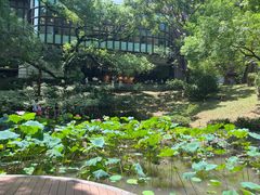 -香港大学
