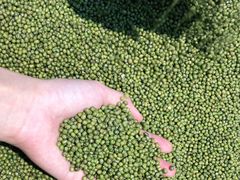 -广百家超市(大东海店)