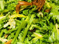 丁香鱼拌苦菊-渔民船说·北塘海鲜·天津菜·海肠捞饭(北塘古镇店)