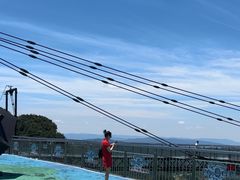 -梦幻奥陶纪景区