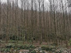 -龙窝子