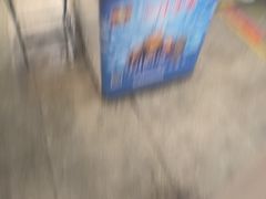 -二斗栗子(黄河道店)