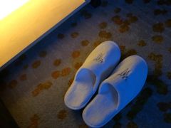 -国际青年会议酒店
