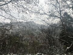 -峨眉山风景名胜区