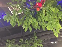 -蕃茄述·好汤自然来(江汉路店)