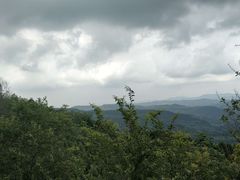 -白鹭湾湿地公园