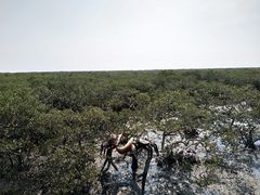 -北海金海湾红树林生态旅游区