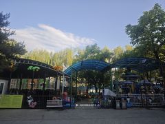 -团结湖公园