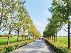 -嘉北郊野公园