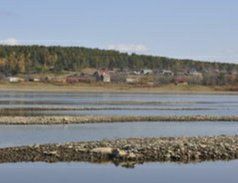 -北极村旅游风景区