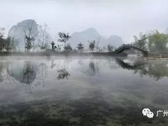 -靖西鹅泉风景区