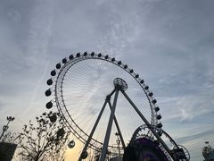 -海合安武汉极地海洋公园