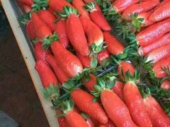 -家乐福(古北店)