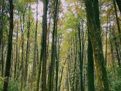 -同里国家湿地公园
