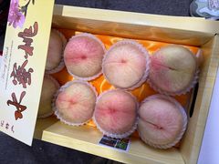 -南汇水蜜桃采摘(大团店)