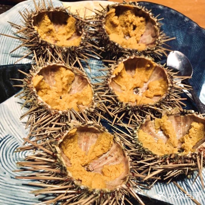 月龙吟(平安悦坊店)-海胆-菜-海胆图片-杭州美食-大众点评网
