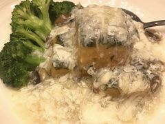 -珍宝海鲜(东海岸海鲜中心)