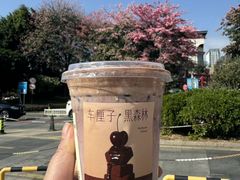-奈雪的茶(永嘉天地东百城店)