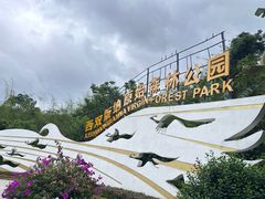 -西双版纳原始森林公园