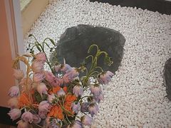 -小银家日式简餐(中信丹阳花园店)