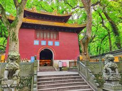 -普陀山风景名胜区-法雨禅寺