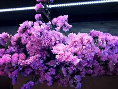 -L.C FLORA花予你(城西银泰城店)