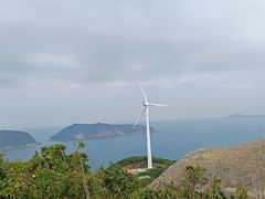 -东澳岛