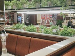 -猫爪爪原切自助烤肉(观音桥阳光世纪店)