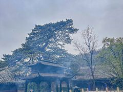 -潭柘寺景区