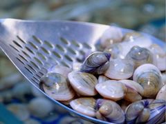 -海韵之星邮轮水会(明发商业广场店)