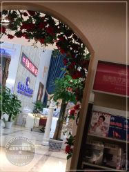 -伽美医疗美容医院·高端抗衰中心