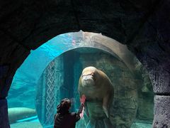 -哈尔滨波塞冬海底世界