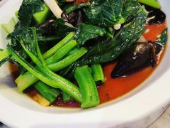 -新白鹿餐厅(百联中环店)