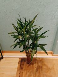 -香秀空间科技抗衰·美容中心