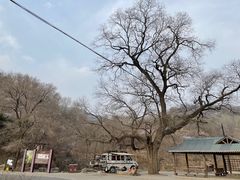 -阳台山自然风景区