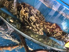 -渔中舟海鲜大排档(普陀沈家门店)