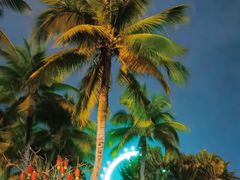 -白沙门生态公园