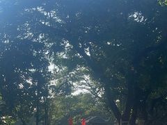 -荔湾湖公园