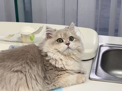 -美美宠物诊疗中心·异宠·骨科(滨江东信分院)
