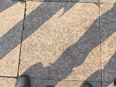 -江南雅厨(李公堤店)