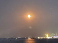 -蠔爺王志德生蚝馆(金沙湾店)