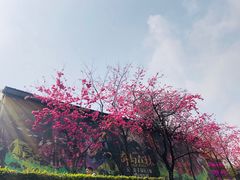 -昆明动物园