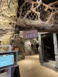 -探洞工场(丰科万达旗舰店)